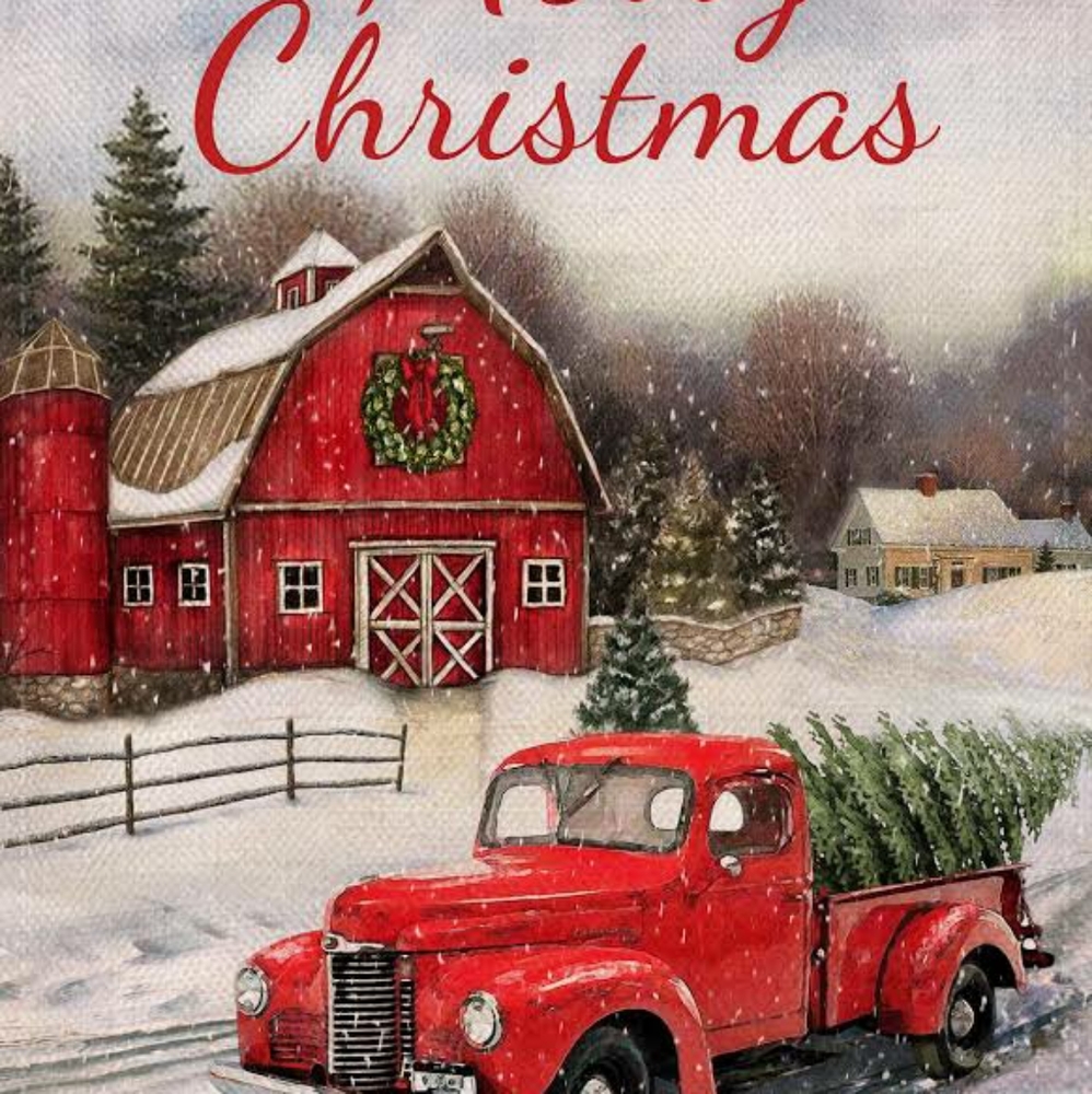 Brand new!!!!!Christmas Items !!!!